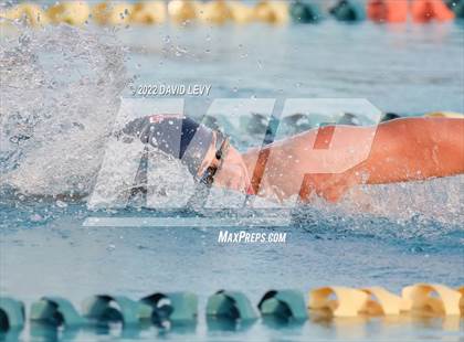 Thumbnail 1 in AIA D1 Swim Finals photogallery.