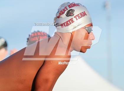 Thumbnail 3 in AIA D1 Swim Finals photogallery.