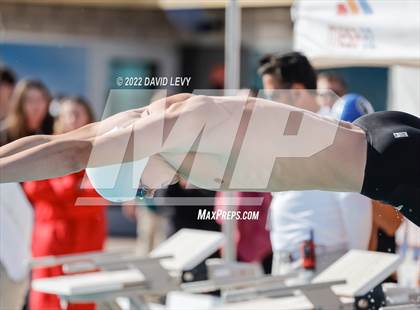 Thumbnail 1 in AIA D1 Swim Finals photogallery.