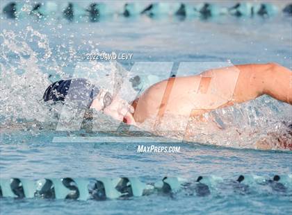 Thumbnail 1 in AIA D1 Swim Finals photogallery.