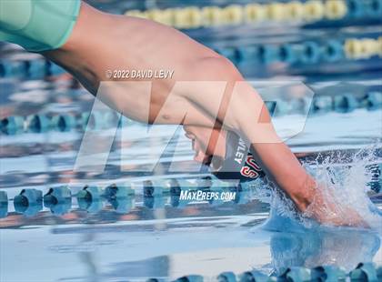 Thumbnail 2 in AIA D1 Swim Finals photogallery.