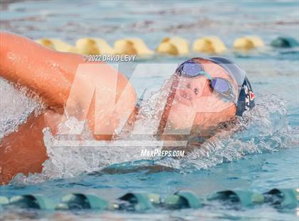 Thumbnail 3 in AIA D1 Swim Finals photogallery.