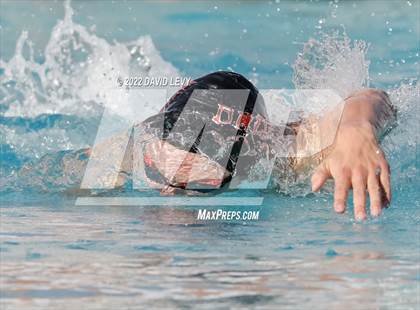 Thumbnail 1 in AIA D1 Swim Finals photogallery.