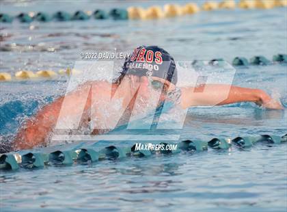 Thumbnail 2 in AIA D1 Swim Finals photogallery.