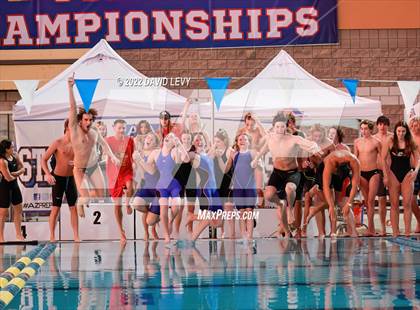 Thumbnail 1 in AIA D1 Swim Finals photogallery.