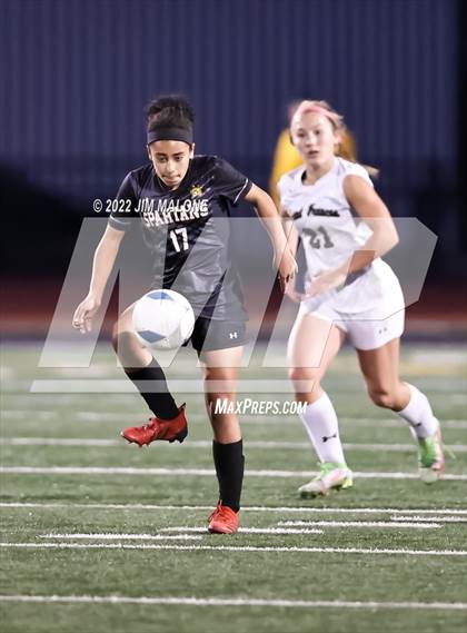 Thumbnail 2 in Mountain View vs. Saint Francis (CIFCCS Open Div. Final) photogallery.