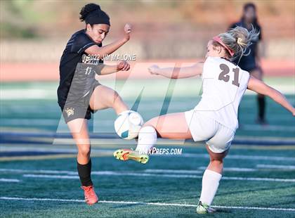 Thumbnail 2 in Mountain View vs. Saint Francis (CIFCCS Open Div. Final) photogallery.
