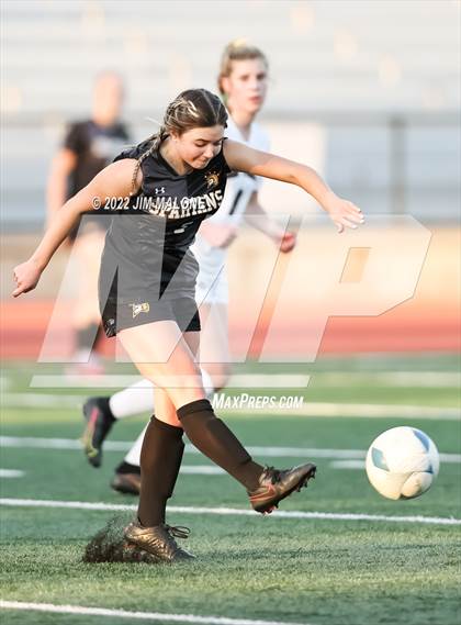 Thumbnail 1 in Mountain View vs. Saint Francis (CIFCCS Open Div. Final) photogallery.