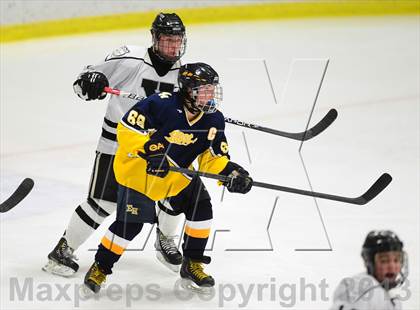 Thumbnail 3 in East Haven @ Xavier photogallery.