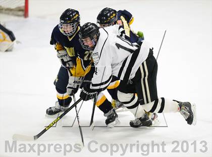 Thumbnail 2 in East Haven @ Xavier photogallery.