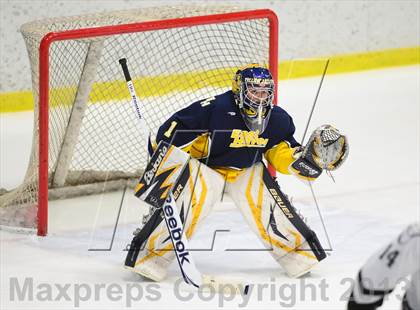 Thumbnail 3 in East Haven @ Xavier photogallery.