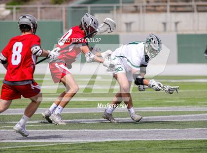 Thumbnail 2 in Mountain Ridge @ Olympus photogallery.