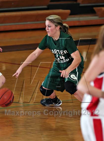 Thumbnail 1 in Carter @ South-Doyle photogallery.