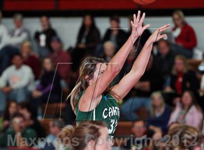 Thumbnail 2 in Carter @ South-Doyle photogallery.