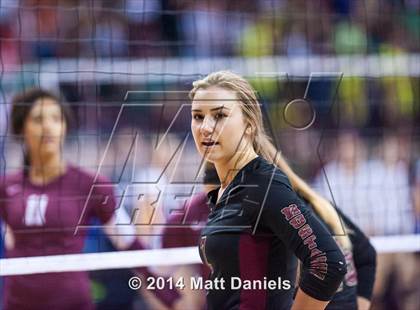 Thumbnail 3 in Ponderosa vs. Cheyenne Mountain (CHSAA 4A Semifinal) photogallery.