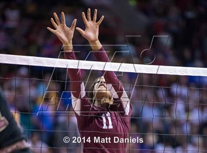 Thumbnail 1 in Ponderosa vs. Cheyenne Mountain (CHSAA 4A Semifinal) photogallery.
