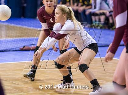 Thumbnail 3 in Ponderosa vs. Cheyenne Mountain (CHSAA 4A Semifinal) photogallery.