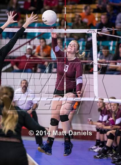 Thumbnail 2 in Ponderosa vs. Cheyenne Mountain (CHSAA 4A Semifinal) photogallery.