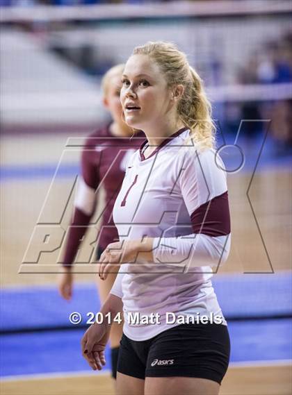 Thumbnail 3 in Ponderosa vs. Cheyenne Mountain (CHSAA 4A Semifinal) photogallery.