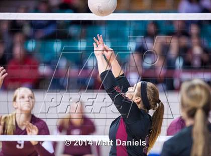 Thumbnail 3 in Ponderosa vs. Cheyenne Mountain (CHSAA 4A Semifinal) photogallery.