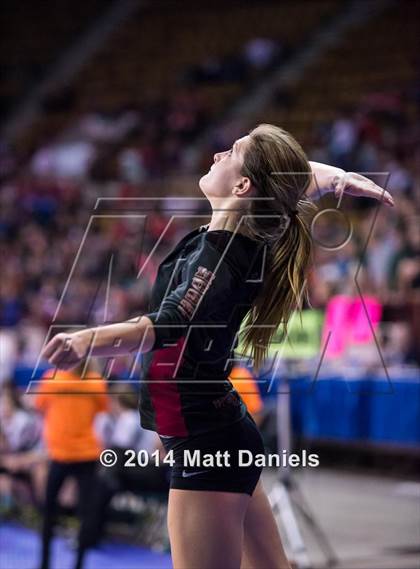 Thumbnail 3 in Ponderosa vs. Cheyenne Mountain (CHSAA 4A Semifinal) photogallery.