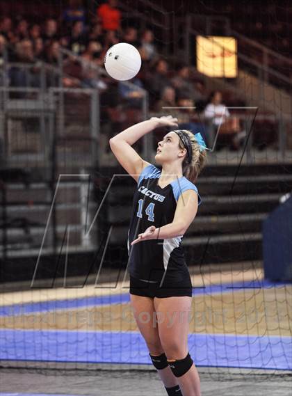 Thumbnail 2 in Cactus @ Snowflake (AIA State Playoff) photogallery.