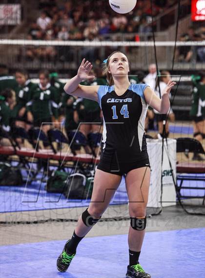 Thumbnail 1 in Cactus @ Snowflake (AIA State Playoff) photogallery.
