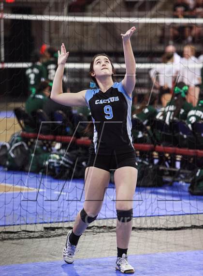 Thumbnail 2 in Cactus @ Snowflake (AIA State Playoff) photogallery.