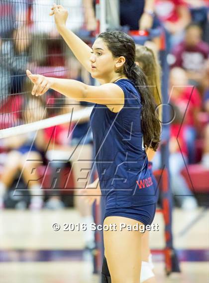 Thumbnail 1 in Santiago @ Great Oak photogallery.