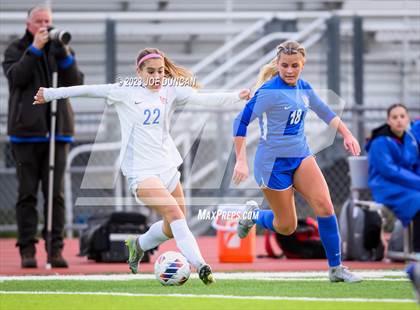 Thumbnail 1 in Santa Margarita vs Los Alamitos (CIF Division 1 Regional Final) photogallery.