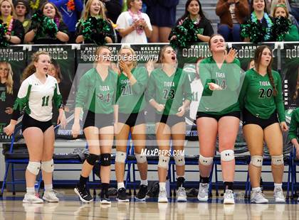 Thumbnail 2 in Tom Bean vs. Tioga (UIL 2A Regional Quarterfinal) photogallery.