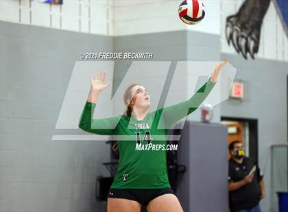 Thumbnail 2 in Tom Bean vs. Tioga (UIL 2A Regional Quarterfinal) photogallery.