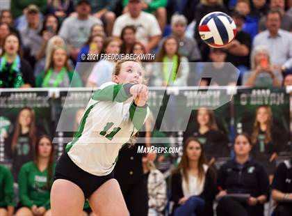 Thumbnail 1 in Tom Bean vs. Tioga (UIL 2A Regional Quarterfinal) photogallery.