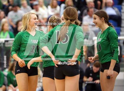 Thumbnail 3 in Tom Bean vs. Tioga (UIL 2A Regional Quarterfinal) photogallery.