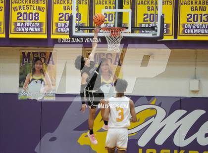 Thumbnail 1 in Hamilton @ Casa Grande (Fear the Hop) photogallery.