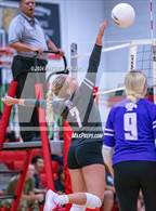 Photo from the gallery "Village Christian Academy @ Berean Baptist Academy"