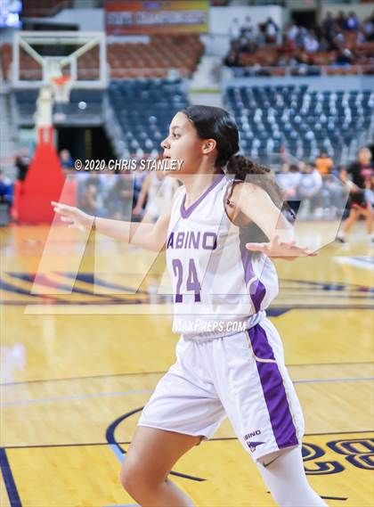 Thumbnail 3 in Page @ Sabino (AIA 3A Final) photogallery.