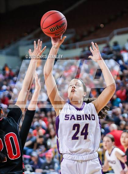 Thumbnail 3 in Page @ Sabino (AIA 3A Final) photogallery.