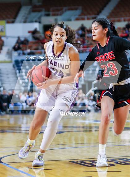 Thumbnail 1 in Page @ Sabino (AIA 3A Final) photogallery.
