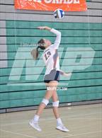 Photo from the gallery "Chaminade vs. Hamilton (Durango Fall Classic)"