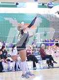 Photo from the gallery "Chaminade vs. Hamilton (Durango Fall Classic)"