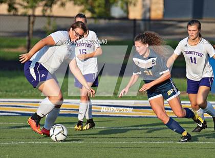 Thumbnail 3 in Sevier County @ Seymour photogallery.
