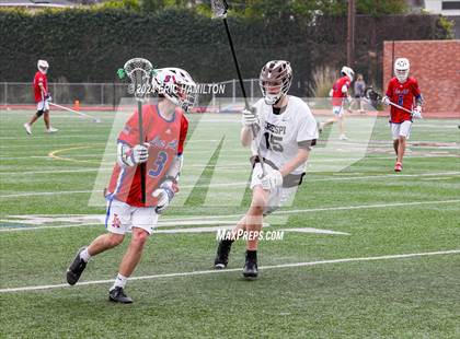 Thumbnail 2 in Los Alamitos @ Crespi photogallery.