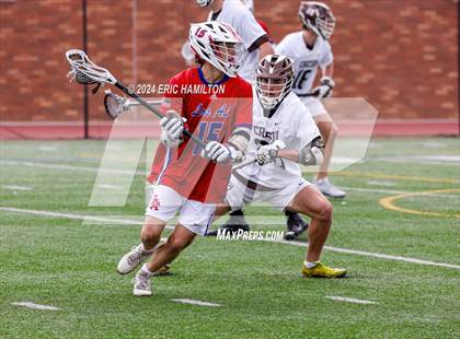 Thumbnail 1 in Los Alamitos @ Crespi photogallery.