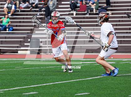 Thumbnail 3 in Los Alamitos @ Crespi photogallery.