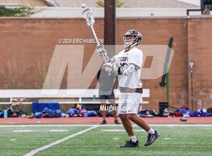 Thumbnail 3 in Los Alamitos @ Crespi photogallery.