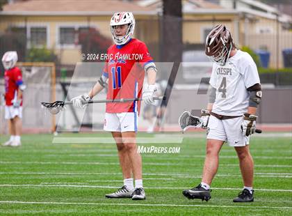 Thumbnail 3 in Los Alamitos @ Crespi photogallery.