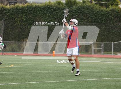 Thumbnail 1 in Los Alamitos @ Crespi photogallery.