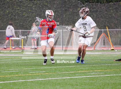 Thumbnail 2 in Los Alamitos @ Crespi photogallery.