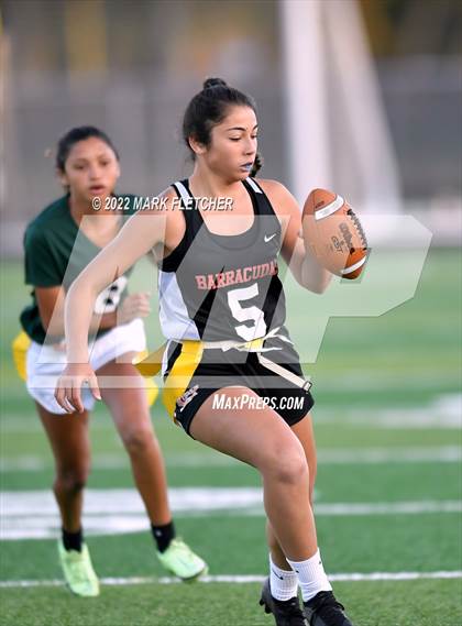 Thumbnail 3 in JV: Flagler Palm Coast @ New Smyrna Beach photogallery.